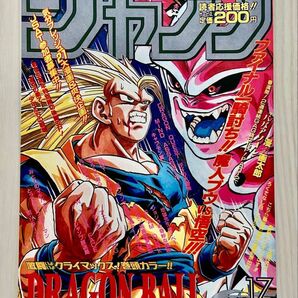 専用 DRAGONBALL 40th ドラゴンボール Poster Collection 1995年 WJ17号 ほか1点