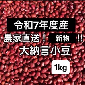 群馬県産 大納言小豆 1kg