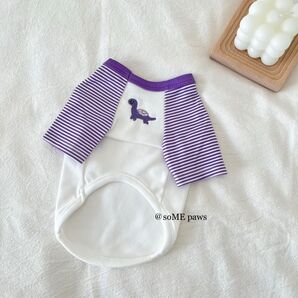 ダイナソーボーダートップス 犬服 ドッグウェア パープル 秋冬