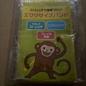 エクササイズバンド