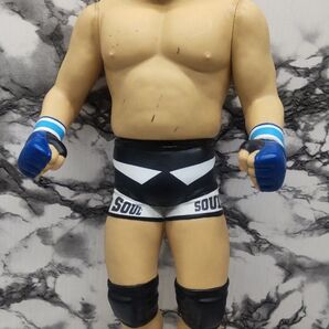 40cmプロレス 格闘技 藤田和之 ソフビ人形