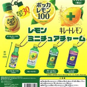 ポッカサッポロ レモン ミニチュアチャーム 全5種セット