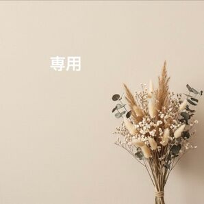 しまちゃん家の番事情 2/遥来くん家の戀事変