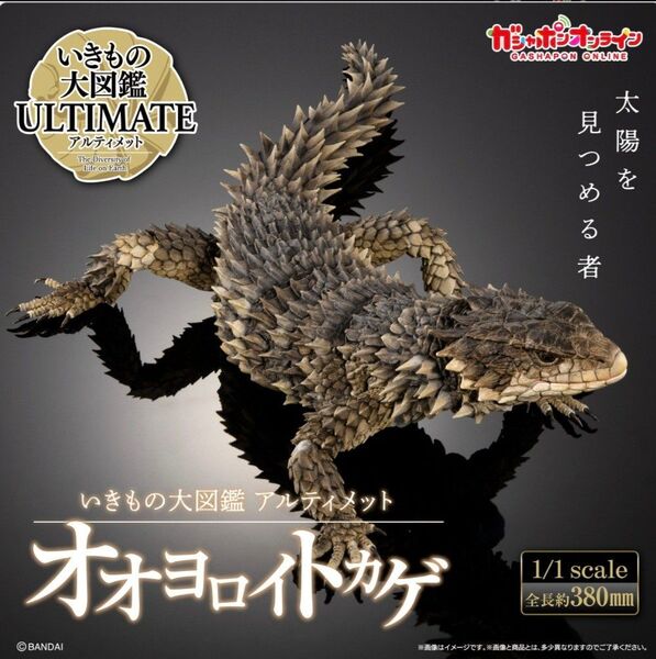 いきもの大図鑑アルティメット オオヨロイトカゲ