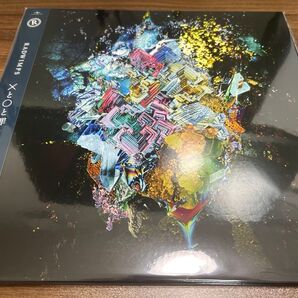 RADWIMPS アナログ レコード ×と◯と罪と