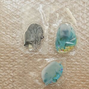 鳥羽水族館 ジュゴン スナドリネコ アクリルスタンド ガチャガチャ