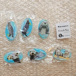 鳥羽水族館 ラッコ アクリルスタンド ガチャガチャ コンプリート