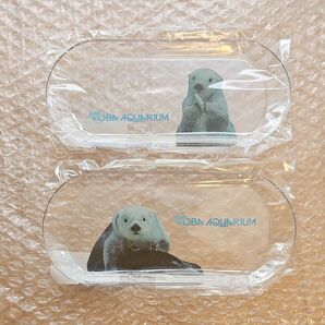 鳥羽水族館 ラッコ メイちゃん キラちゃん マルチトレー