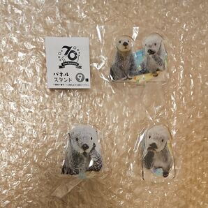 鳥羽水族館 鳥羽水族館限定ラッコ メイ キラ アクリルスタンド ガチャ