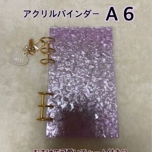 A6 アクリルバインダー 韓国 家計管理 家計簿 saving 貯金SNS