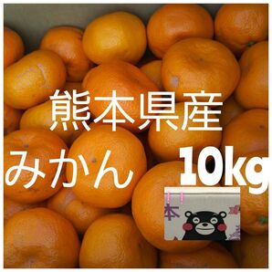 熊本県産 みかん 小〜大サイズ混載箱込10キロ 家庭用