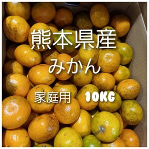 熊本県産 みかん 小〜大サイズ混載箱込10キロ 家庭用
