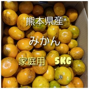 熊本県産 みかん 小〜大サイズ混載箱込5キロ 家庭用
