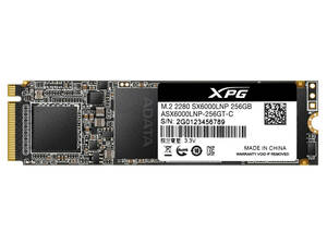 新品 ADATA ASX6000LNP-256GT-C SSD 256GB SX6000 Lite シリーズ M.2 