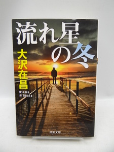 2011　流れ星の冬 (双葉文庫)