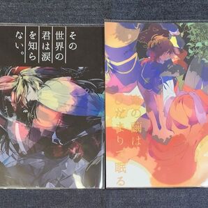 ☆しゃもじゃこ / トメコ『その世界の君は涙を知らない。』『竜の繭はひだまりで眠る』刀剣乱 舞 同人 誌 五月女えむ