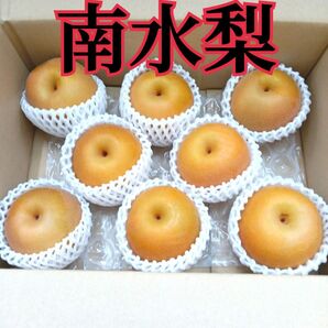 長野県産 南水梨 ☆3