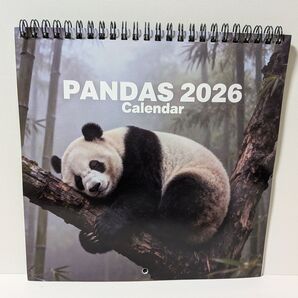 PANDAS 2026 CALENDAR パンダ カレンダー 未使用