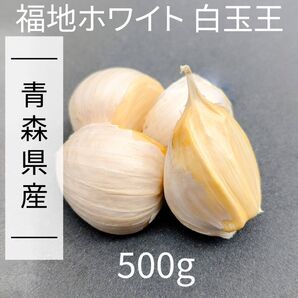 にんにく 【青森県産】福地ホワイト六片 500g 産直野菜