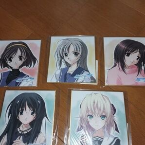 メモリーズオフ DMMスクラッチ ミニ色紙 5枚セット