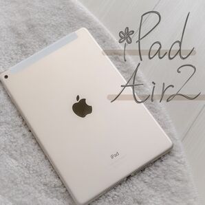 iPad Air 2(本体のみ)