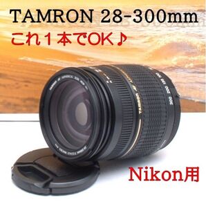 ★高倍率★TAMRON AF 28-300mm F3.3-6.3 Fマウント★