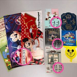 ディズニー フリーきっぷ トゥデイ シール まとめ売り TDR