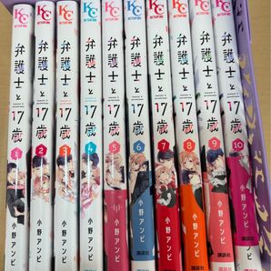 弁護士と17歳 完結※二口発送