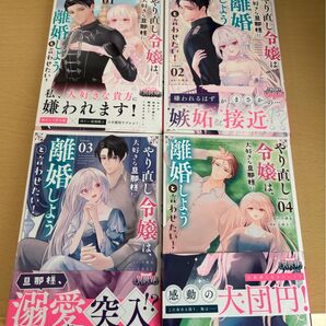 やり直し令嬢は、大好きな旦那様に離婚しようと言わせたい! 1〜4※近々取消