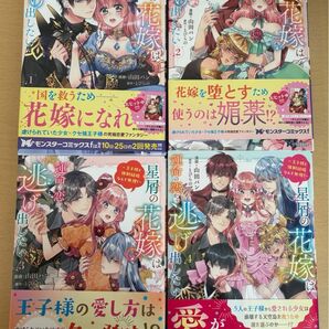 星屑の花嫁は運命の恋から逃げ出したい 王子様と強制結婚なんて無理! 1〜4