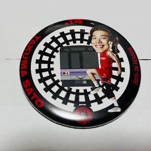 名古屋ダイヤモンドドルフィンズ 佐藤卓磨