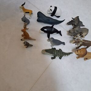 シャクレルプラネット 14体