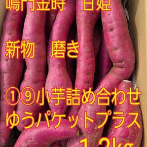 ①⑨さつまいも1.2㎏ 鳴門金時甘姫 新物 小芋詰め合わせ 送料無料