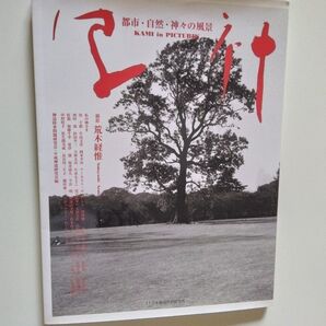 写真集 荒木経惟 アラーキー