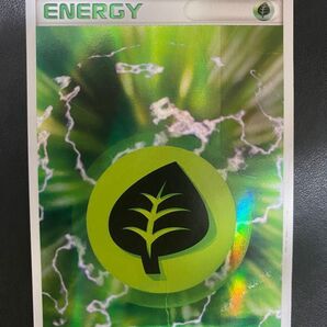基本草エネルギー ホロンエネルギー ポケモンカード