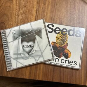 DIE IN CRIES THANX BEST OF DIE IN CRIES Seeds 2枚セット