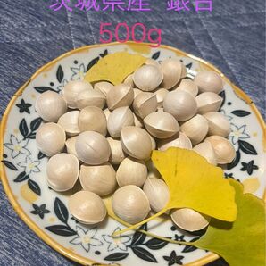 茨城県産 銀杏 ぎんなん 500g
