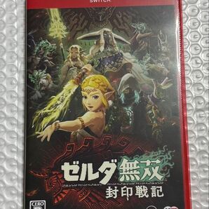 switch2 ゼルダ無双 封印戦記