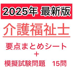 介護福祉士 まとめシート A4 24枚 模擬試験15問付 解答解説つき 要点 介護福祉士