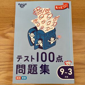 進研ゼミ 問題集 チャレンジ 2年生 国語 算数