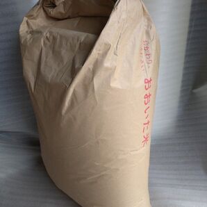 令和7年 大分県産 夏ほのか