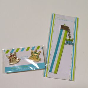 嵐 風景 ピンバッジ ストラップ