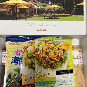 ヤマウラ 株主優待 ヘルシーサラダセット