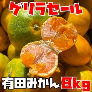 和歌山県産 有田みかん 箱込み8kg