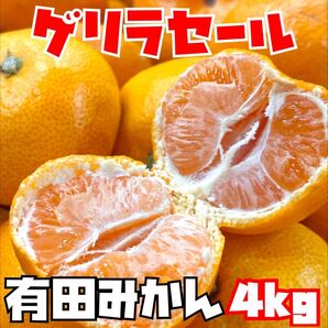 和歌山県産 有田みかん 箱込み4kg