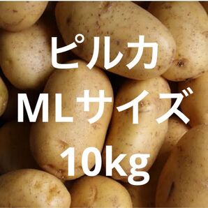 北海道 新じゃがいも ピルカ10kg ジャガイモ ほくほく 旨い!