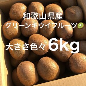 和歌山県産☆キウイフルーツ たっぷり6kg!!国産キウイ 産地直送