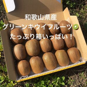 和歌山県産 キウイフルーツ★大きさ色々♪訳ありだからお得!たっぷり箱いっぱい! 農家直送 国産キウイ ヘイワード