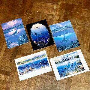 クリスチャンラッセン ★ Christian Lassen ★ カード ★ ハワイ ★ Hawaii ★ 海 ★ イルカ ★ クジラ ★ イラスト ★ マウイ ★ 中古品