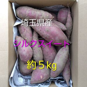 埼玉県産 訳あり さつまいも シルクスイート 約5kg